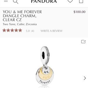 Excellent condition charm